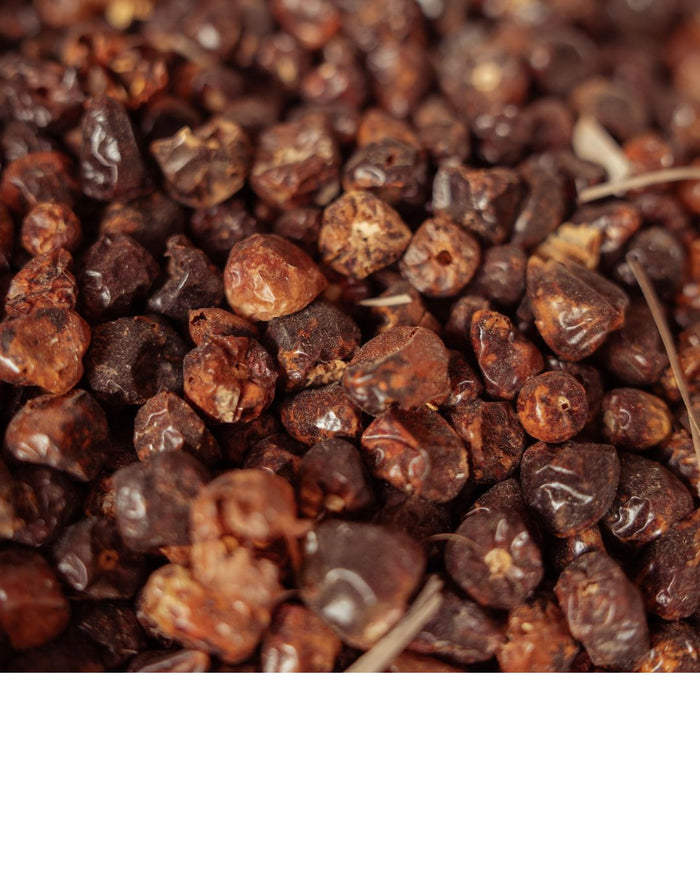Wild Juniper Berries